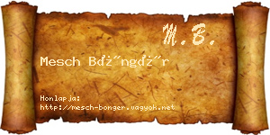 Mesch Böngér névjegykártya